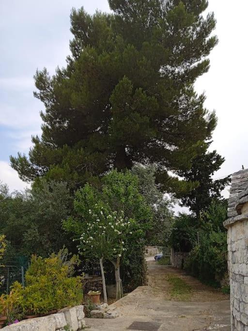 Villa Gasphouse Castellana Grotte Exterior foto